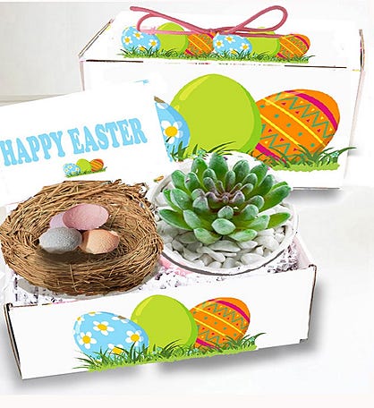 Easter Succulent Spa Gift